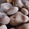 cobble stones