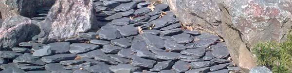 water worn slate paddlestones
